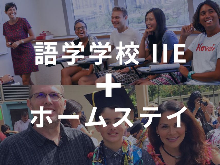 ホームステイプラン