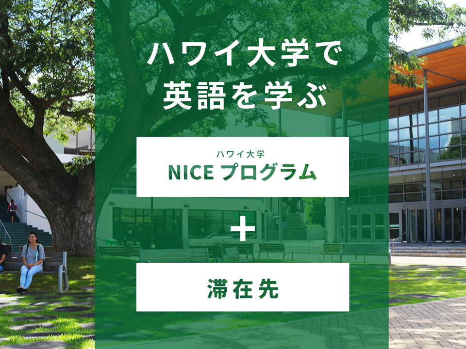 キャンパスライフを体験 <br>ハワイ大学 NICEプログラム＋滞在先