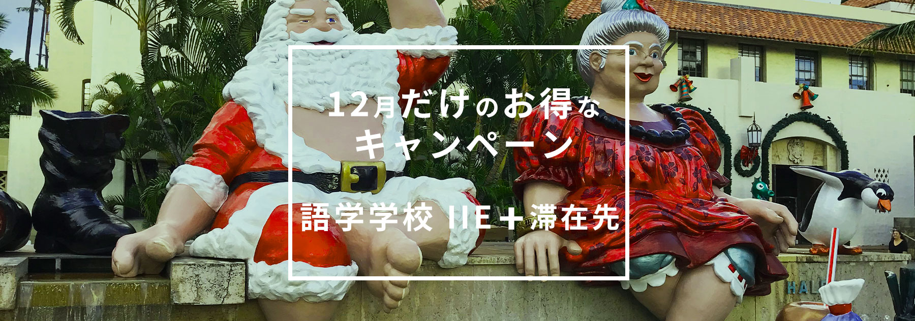 12月だけのお得なキャンペーン