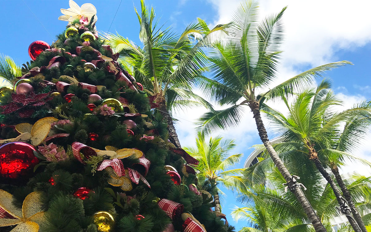 12月限定【学校+滞在先付き】お得なパッケージ